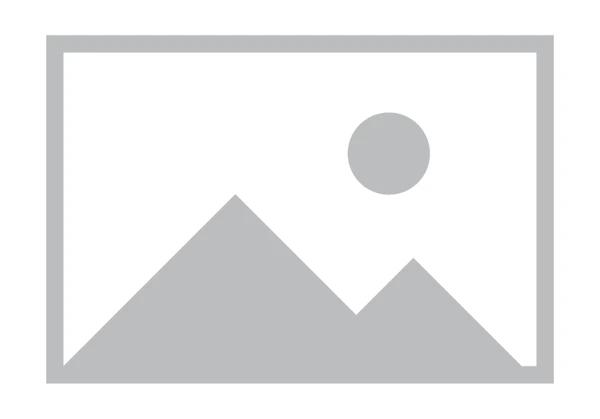 BAZNAS DISTRIBUSIKAN PAKET MAKANAN DI KAMP PENGUNGSIAN PALESTINA